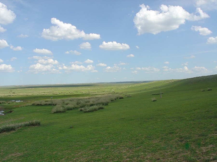 Les forêts de Mongolie-Intérieure : parler du passé et comprendre le présent