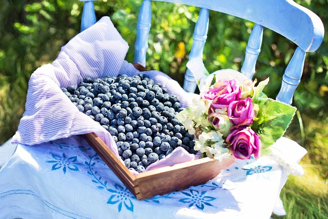 Sept fruits qui protègent vos yeux de la sécheresse oculaire