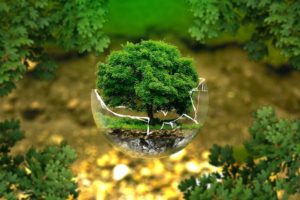 La mentalité de conservation, pratiquée dans les sociétés modernes, menace-t-elle l'environnement ?