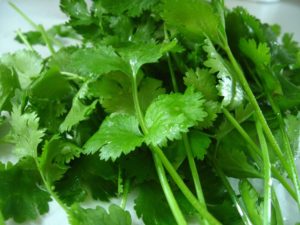 Les plantes et les épices indiennes et leurs vertus médicinales : la coriandre (1/7)