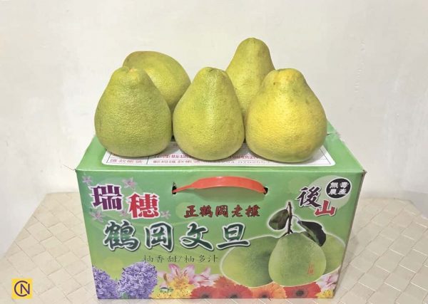 Taïwan : le plaisir de cueillir des pomelos dans une ferme de loisirs