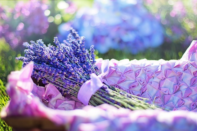 Cinq tisanes de fleurs pour le bien-être du corps et de l’âme