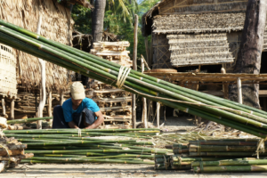 Construire en bambou : un produit durable aux possibilités illimitées