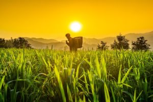 Société - Deux histoires philosophiques à propos d’honorer une dette