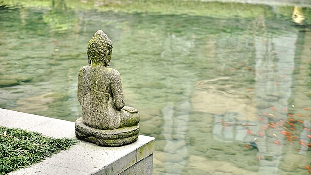 S’inspirer de la voie de l’eau pour vivre harmonieusement 