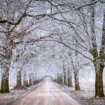 L’une des vingt-quatre périodes solaires chinoises : Shuangjiang ou Descente de givre Auteur : Vision Times