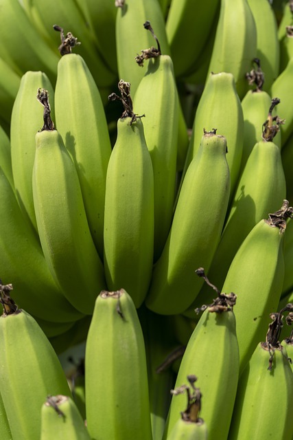 La recette d’accras de bananes vertes de Vision Times