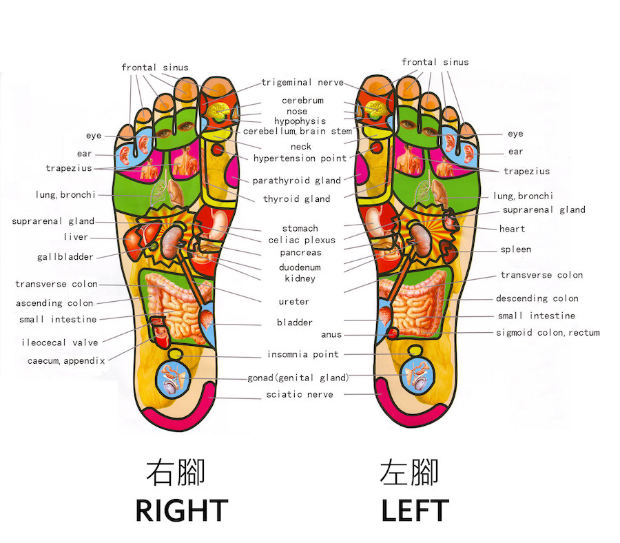 Réflexologie : une approche ancienne du bien-être en commençant par les pieds 