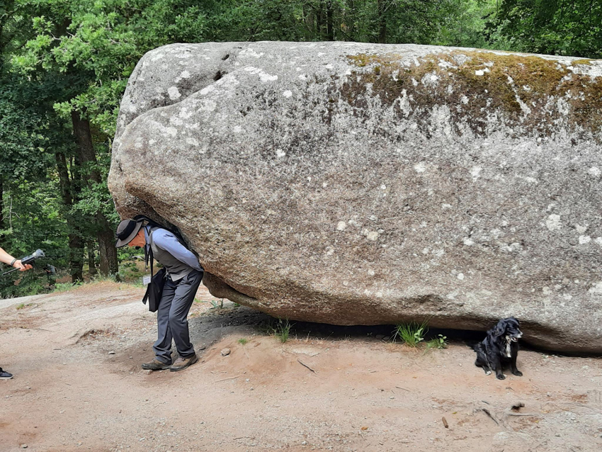 La roche star de la légendaire forêt bretonne de Huelgoat : la roche tremblante…