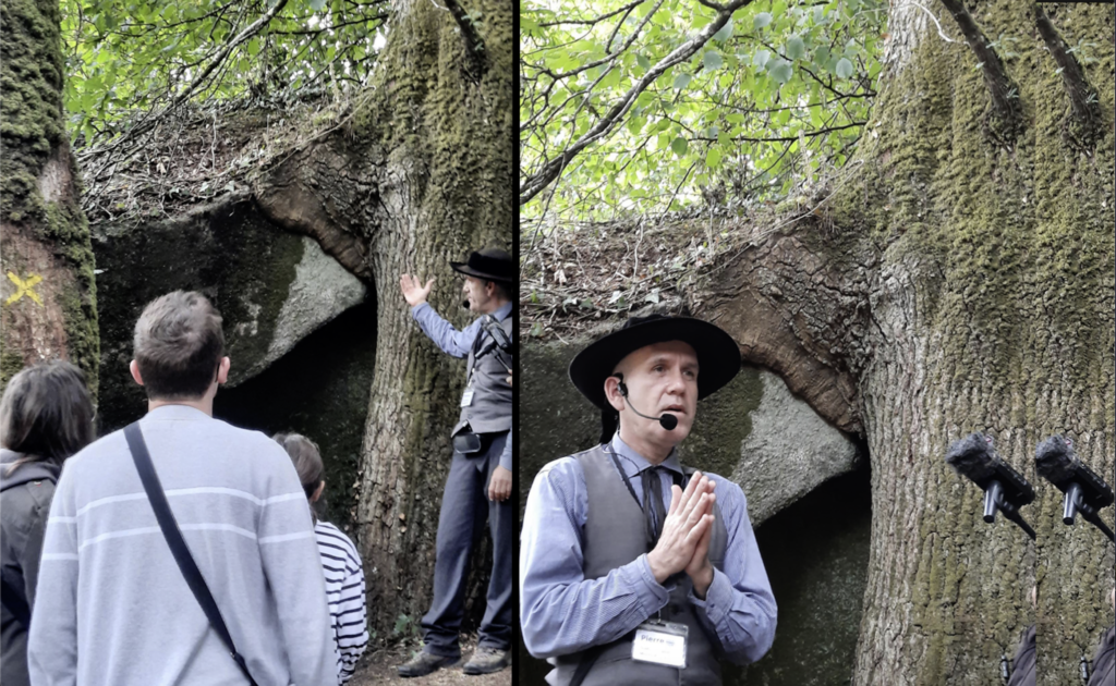 La roche star de la légendaire forêt bretonne de Huelgoat : la roche tremblante… 