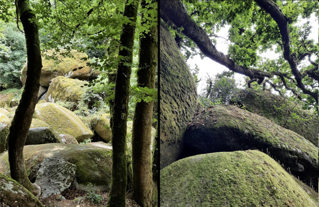 La roche star de la légendaire forêt bretonne de Huelgoat : la roche tremblante… 