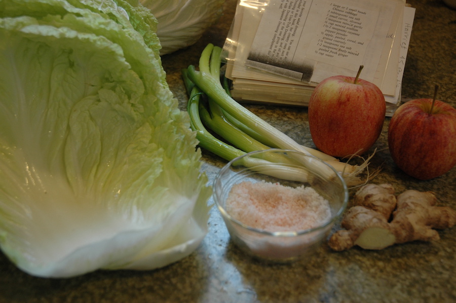 Kimchi coréen : obtenez vos probiotiques de manière naturelle grâce aux aliments fermentés