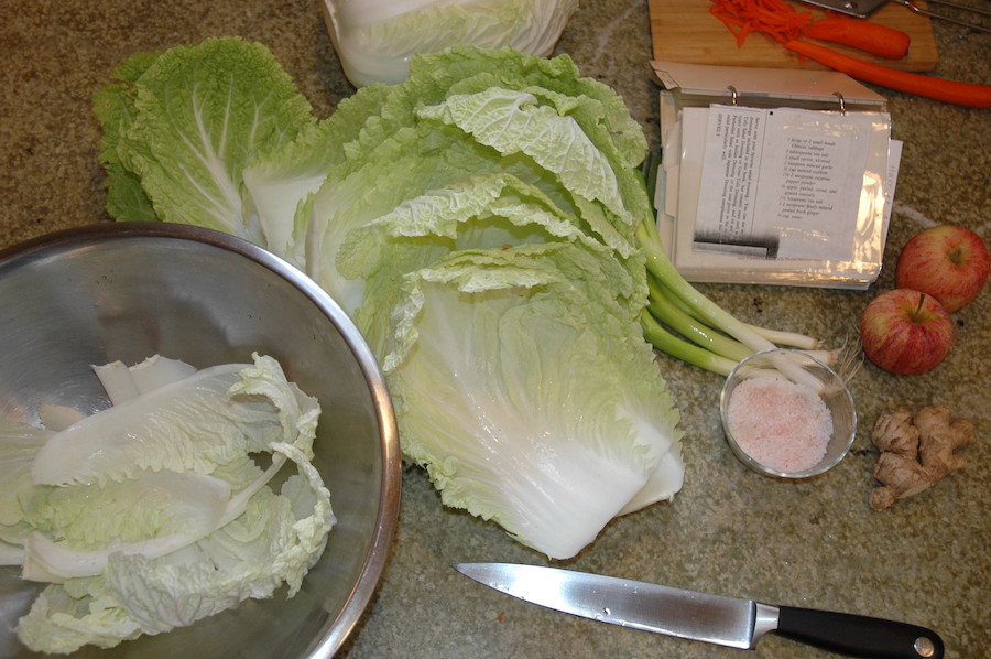 Kimchi coréen : obtenez vos probiotiques de manière naturelle grâce aux aliments fermentés