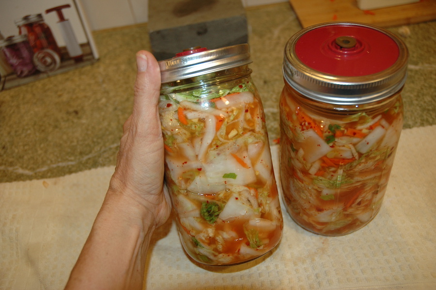 Kimchi coréen : obtenez vos probiotiques de manière naturelle grâce aux aliments fermentés