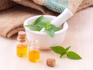 Les plantes et les épices indiennes et leurs vertus médicinales : le basilic (4/6)