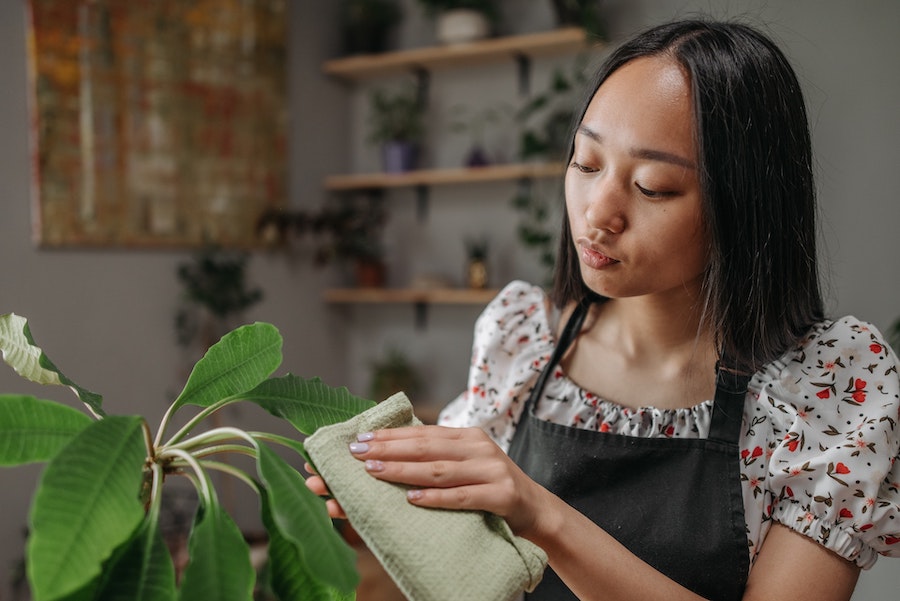 Produits courants contenant des toxines et leurs alternatives saines : les produits chimiques