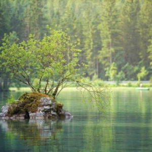 Sagesse - Proverbe chinois : Là où l’eau coule, un canal se formera