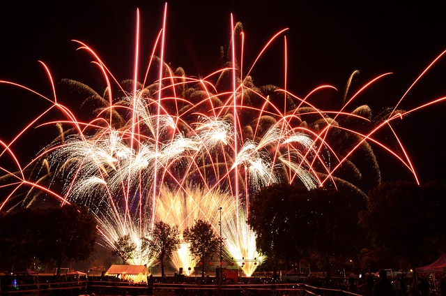 Célébration Du Nouvel An 2024 Avec Feux D'artifice Colorés Sur