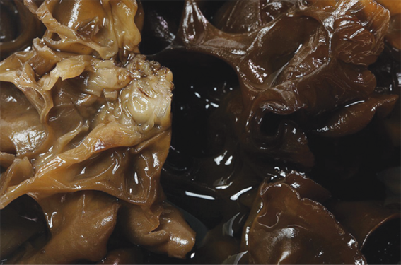 Recette facile : poulet sauté aux champignons noirs de Vision Times