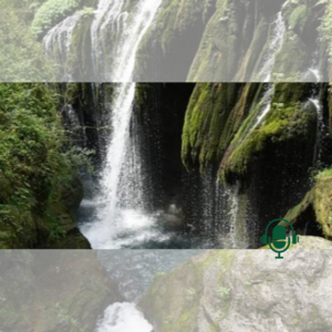 Sagesse - Proverbe chinois : Quand tu bois de l’eau, pense à la source