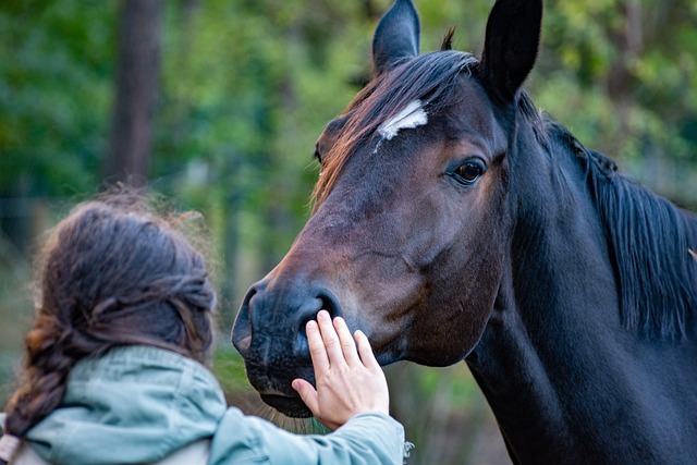 Les animaux sont des êtres sensibles et intelligents