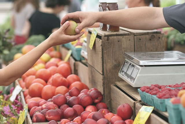 Découvrir en quoi consiste la notion de travail chez les Français