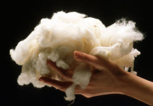 Le processus fascinant à l’origine de la beauté des fibres naturelles : la laine (2/4)