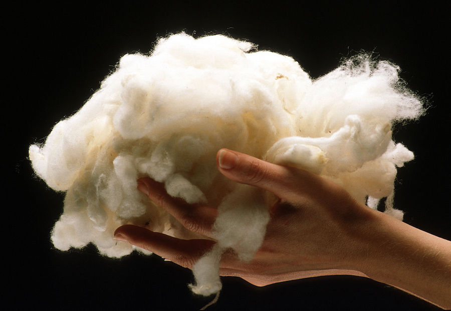 Le processus fascinant à l'origine de la beauté des fibres naturelles : la laine
