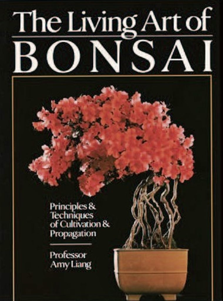 L’art du bonsaï a sauvé la vie d’une femme : l’histoire du maître du bonsaï Amy Liang