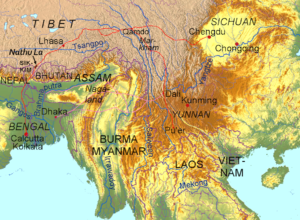 L’histoire du thé : l’expansion du thé dans le monde sous les dynasties Sui et Tang