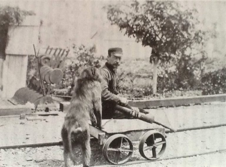 Un singe qui travaille dans une gare ? C’est bien ce qu’a fait Jack le babouin