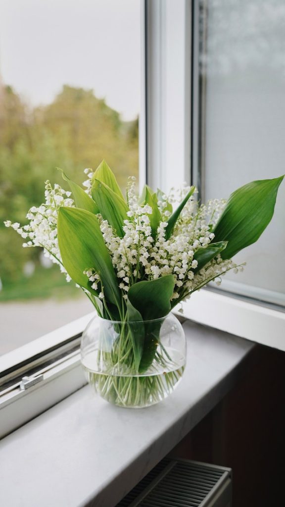 C’est le temps du muguet : cette plante porte-bonheur qui ouvre le joli mois de mai
