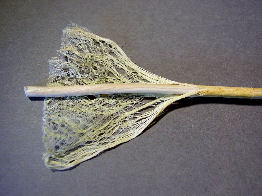 Le processus fascinant à l’origine de la beauté des fibres naturelles : le chanvre