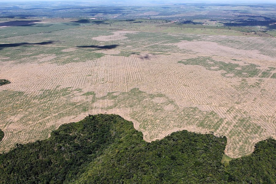 Le taux de déforestation en Amazonie brésilienne a chuté en avril