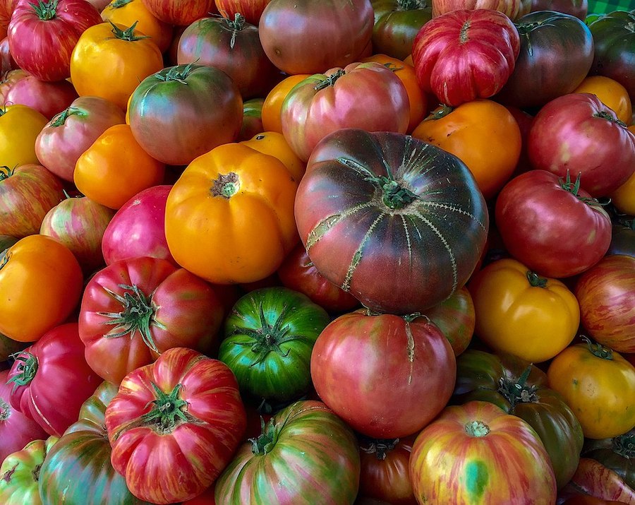 L’alimentation saisonnière répartie sur les douze mois de l’année : juillet