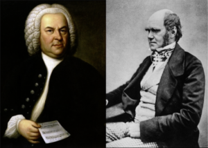 Jean-Sébastien Bach, Charles Darwin : leurs sources d’inspiration et l’énigme de la création