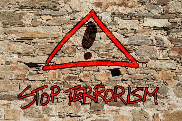 Terrorisme en France : entre djihadisme persistant et émergence de nouvelles formes de violence