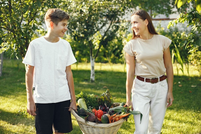 L’alimentation saisonnière répartie sur les douze mois de l’année : août