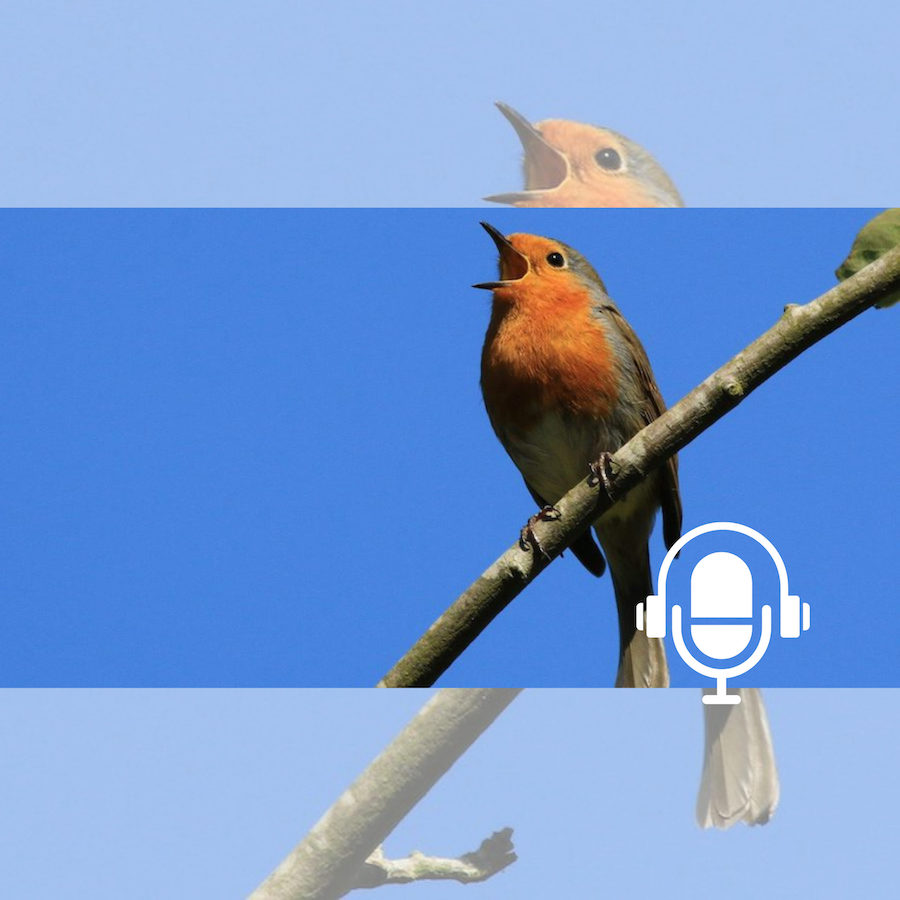 Le chant peut soulager le stress, renforcer le système immunitaire et contribuer au bien-être