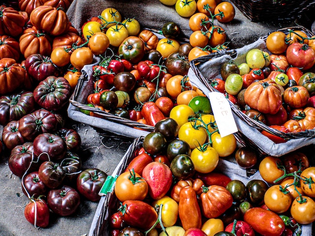 L’alimentation saisonnière répartie sur les douze mois de l’année : août