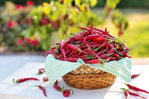 Alimentation et prévention : cinq aliments anti-cancer à privilégier