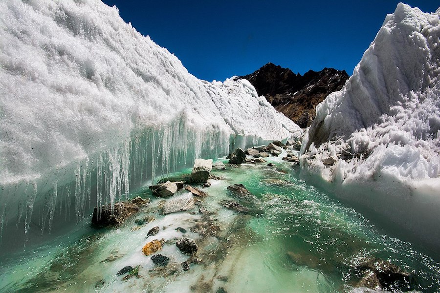 Une nouvelle analyse révèle que d’anciens agents pathogènes libérés par la fonte des glaces pourraient faire des ravages dans le monde entier