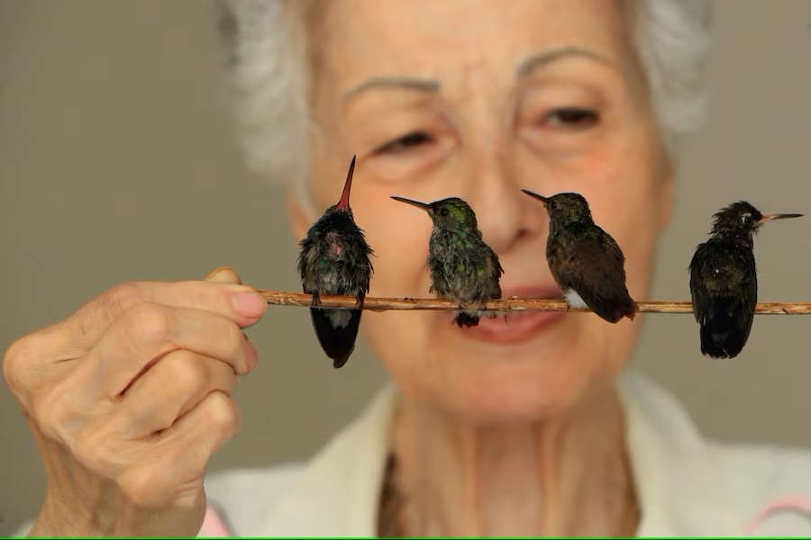 Ils m’ont donné une nouvelle vie : une survivante du cancer ouvre sa maison aux colibris malades