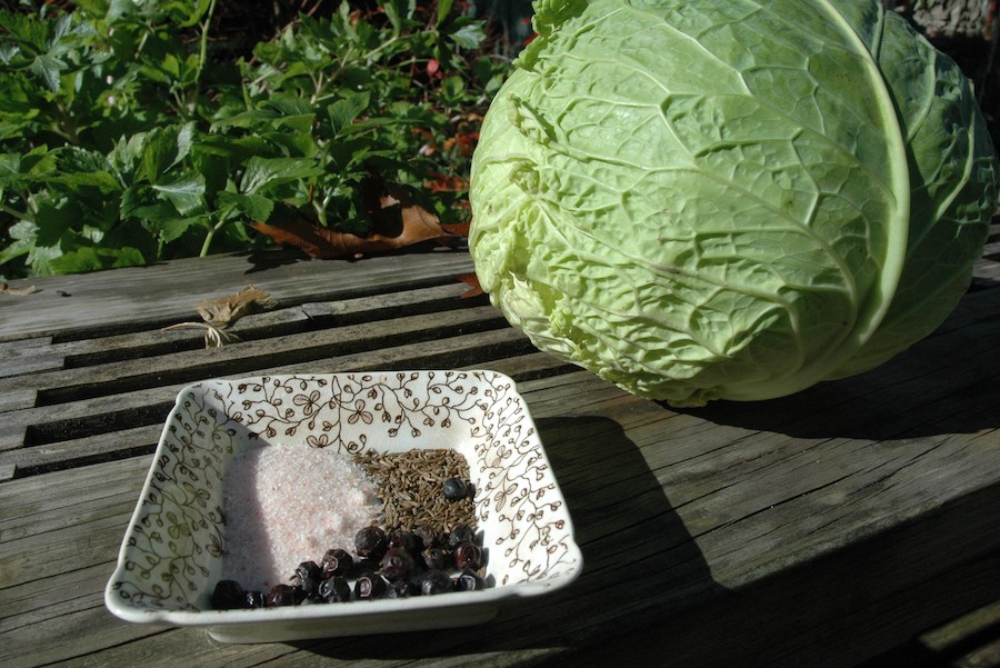 L’alimentation saisonnière répartie sur les douze mois de l’année, les différentes recettes de choucroute : novembre 