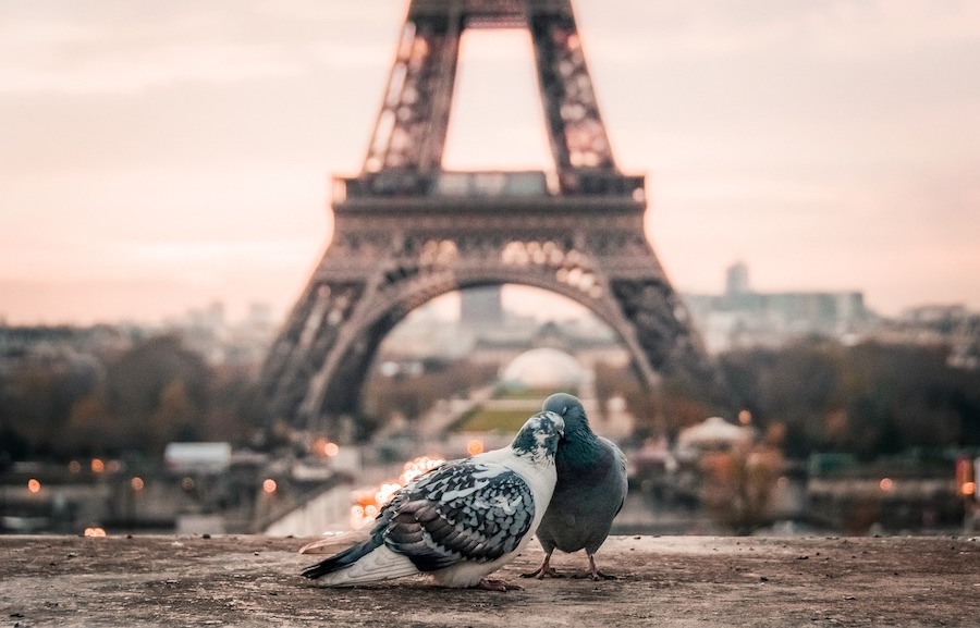 L’amour est le moteur de la vie d’Édith Piaf