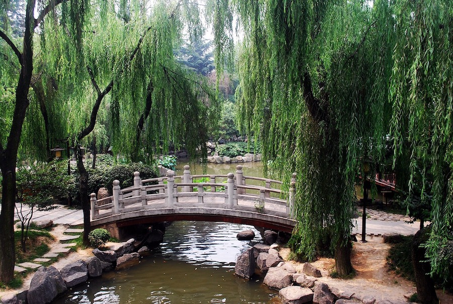 Jardins de sagesse, en Chine et au Japon par Yolaine Escande