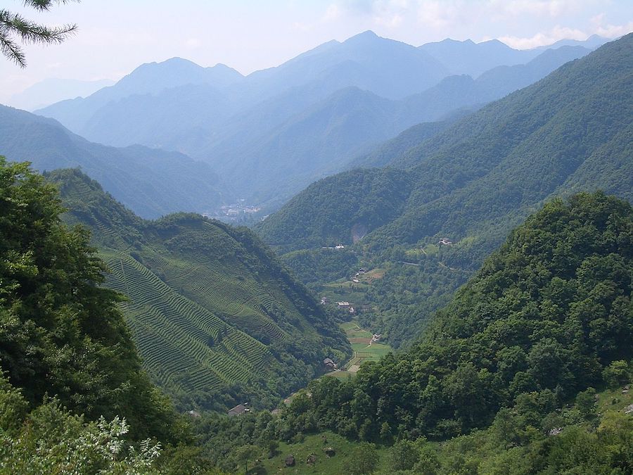 La légende de Shennong : l’inventeur de l’agriculture et de la médecine traditionnelle chinoise
