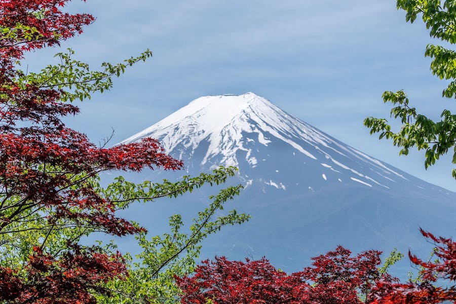 Quel est le fondement de la haute intégrité des Japonais 