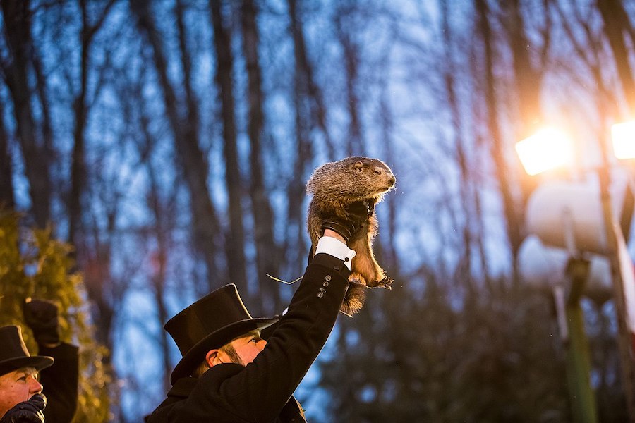 Ces animaux mystiques capables de prédire l’avenir