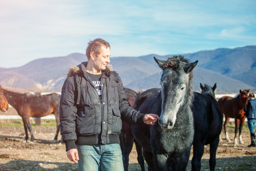 La condition du monde animal et sa relation avec le monde humain